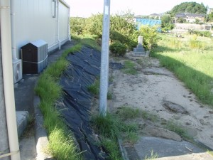 広島市西区　草刈　除草　草むしり