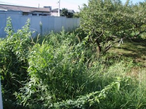 広島市西区　草刈　除草　草むしり