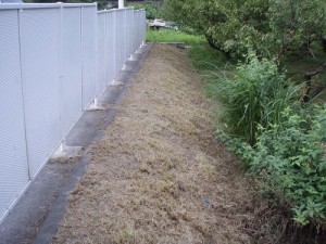 広島市西区　草刈　除草　草むしり