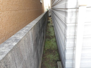 DSCN0475