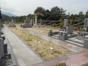 DSCN1425