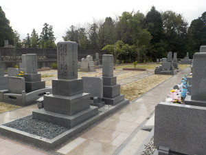 DSCN1426