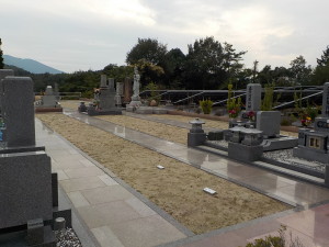DSCN1430