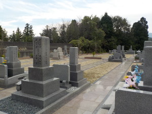 DSCN1431