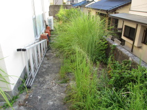 お庭管理　除草　草むしり　作業前