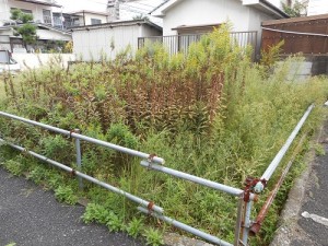 広島市　空き地管理　除草　草刈り