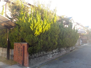 DSCN1804