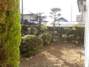 DSCN1811
