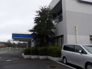 DSCN1921