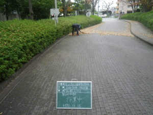 IMGP9724