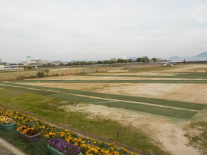 DSCN0398