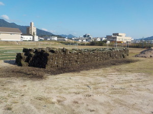 DSCN1701