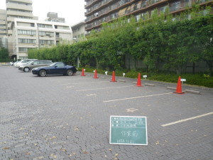 IMGP9738