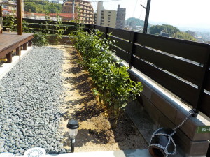 DSCN3046