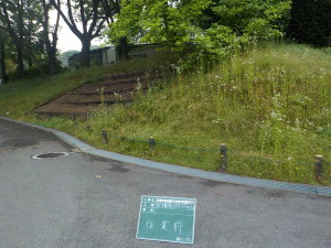 DSCN2911