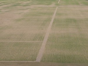 人工芝　テニスコート　東広島市　剥がれ　段差　テニス　会社　福利厚生　ケガ　スポーツ　Artificial grass　 Artificial turf