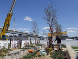 メモリアルパーク観音新町　植栽　人工芝　墓　草花　管理　楽　広島市　宗教法人修験道白光山妙禪院　