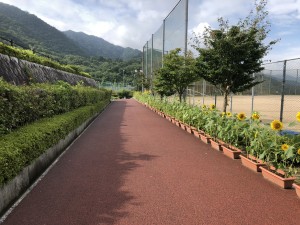 広島県安芸郡海田町　海田総合公園　ひまわりまつり　ひまわり　お庭　造園　維持管理　草花　夏　遊具　広場　スポーツ　休日　織田幹夫