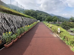 広島県安芸郡海田町　海田総合公園　ひまわりまつり　ひまわり　お庭　造園　維持管理　草花　夏　遊具　広場　スポーツ　休日　織田幹夫