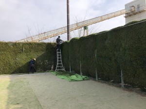 広島県　広島市　西区　テニスコート　カイズカ　剪定　造園　除草　お庭　管理　維持　スポーツ施設　グラウンド　学校　スクール　グラウンド資材　黒土　スポーツ施設　施工　設計　空き家　人工芝　