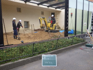 広島市　安佐動物公園　土　入替　動物園　ヒョウ　アムールヒョウ　造園　維持管理　除草　伐採　植栽　植物　植木　草刈　剪定　真砂土　人工芝　庭　お庭管理センター　広島県