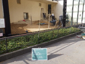 広島市　安佐動物公園　土　入替　動物園　ヒョウ　アムールヒョウ　造園　維持管理　除草　伐採　植栽　植物　植木　草刈　剪定　真砂土　人工芝　庭　お庭管理センター　広島県