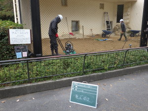 広島市　安佐動物公園　土　入替　動物園　ヒョウ　アムールヒョウ　造園　維持管理　除草　伐採　植栽　植物　植木　草刈　剪定　真砂土　人工芝　庭　お庭管理センター　広島県