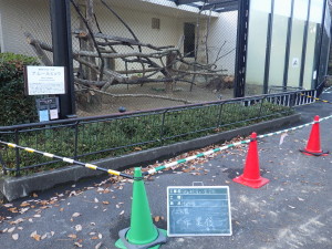 広島市　安佐動物公園　土　入替　動物園　ヒョウ　アムールヒョウ　造園　維持管理　除草　伐採　植栽　植物　植木　草刈　剪定　真砂土　人工芝　庭　お庭管理センター　広島県