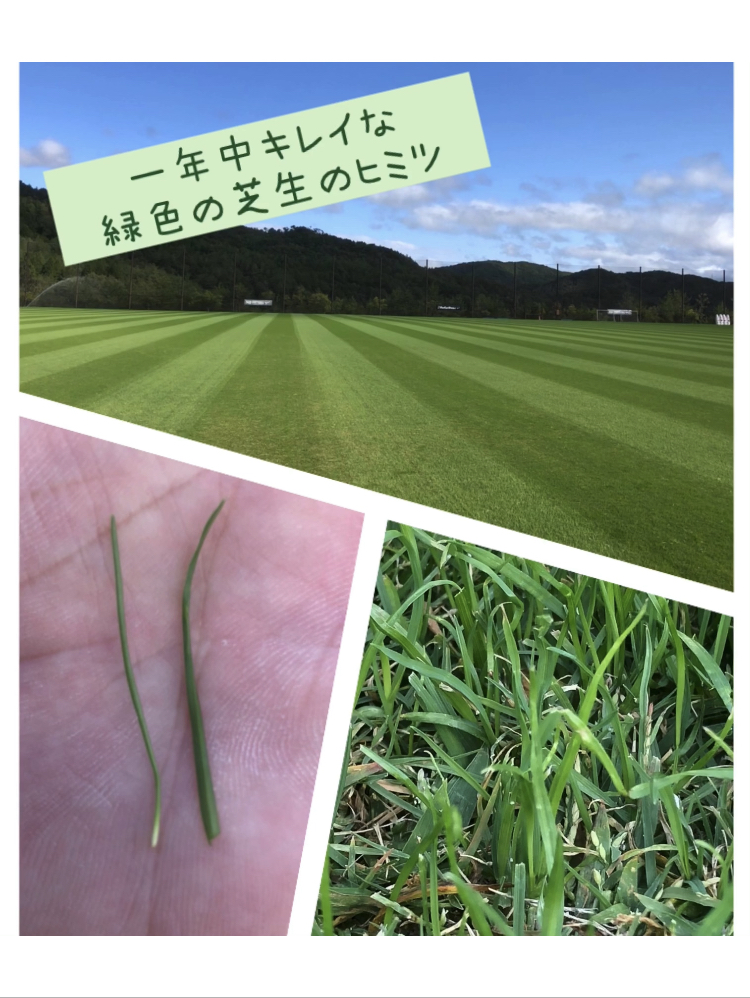 ユニサス　Instagram　インスタグラム　インスタ　コロナに負けるな　新規　開設　アカウント　剪定　除草　草刈　人工芝　草滑り　公園　スポーツ　施設　グラウンド　真砂土　黒土　サッカー　テニス　野球　バスケ　ゴール　コート　ゴルフ 庭　フットサル　健康　健康経営　働き方改革　求人　中途採用　工事　管理　遮光ネット　園庭　こども園　幼稚園　野球場　広陵　高校　女子野球　オーダーメイド　注文　完成写真　図面 エキキタ　広島駅　駅　遊び場　サンフレッチェ　予約　子ども　遮光ネット カープ　選手　バッテリー　外木場　呉 下関球場　下関国際　アンケート スポーツ庁　Sport in Life プロジェクト　加盟　オーバーシード