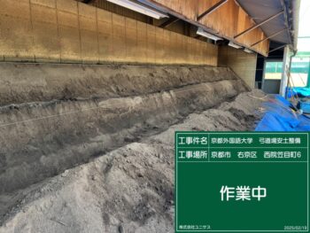 ユニサス　Instagram　インスタグラム　インスタ　コロナに負けるな　新規　開設　アカウント　剪定　除草　草刈　人工芝　草滑り　公園　スポーツ　施設　グラウンド　真砂土　黒土　サッカー　テニス　野球　バスケ　ゴール　コート　ゴルフ 庭　フットサル　健康　健康経営　働き方改革　求人　中途採用　工事　管理　遮光ネット　園庭　こども園　幼稚園　野球場　広陵　高校　女子野球　オーダーメイド　注文　完成写真　図面 エキキタ　広島駅　駅　遊び場　サンフレッチェ　予約　子ども　遮光ネット カープ　選手　バッテリー　外木場　呉 下関球場　下関国際　アンケート スポーツ庁　Sport in Life プロジェクト　加盟　オーバーシード 散水機 コストコ　県庁　こも巻き　ソテツ　職人 栄養　栄養学　食事　食生活　大学　経済大学　愛宕山　岩国　グラウンドゴルフ　テニスセンター　東広島　こうわこども園海田第２　バルコニー　クッション　クッションパッド　安全　表彰式　新年会　スポーツエールカンパニー　ファールポール　アンツーカ　きらら　ハーバード　平和　クライミング　ボルダリング　エアレーション　桜が丘高校　サンセットビーチ　SUP　投球練習　みよし公園　三原　やまみ　運動公園　遊具　野球観戦　マツダスタジアム　カープ　庄原市　戸田隆矢　川﨑宗則　ほうりん　スポーツエールカンパニー　ライン引き　コート　小泉病院　野球場　 新入社員　ピースウイング広島　福利厚生　広陵ゴルフ部　安芸高田市サッカー公園　サンフレパーク　スイーパー　サッカー協会　周年記念式典　東尾道　熊野町　段原　環太平洋大学　山田グリーンパーク　瀬戸町総合公園　奥市公園　リスキリング　尾道　聖母幼稚園　京都外国語大学　安土整備